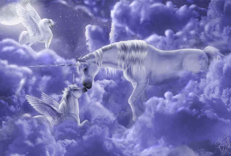 amanda_walsh-copyright-ladylydian-_eskimo_kisses-5b1-5d